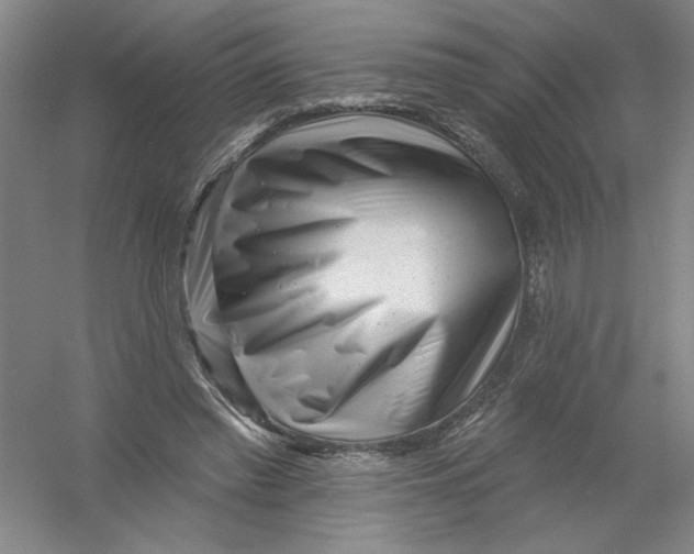 X0000054380397200508270013