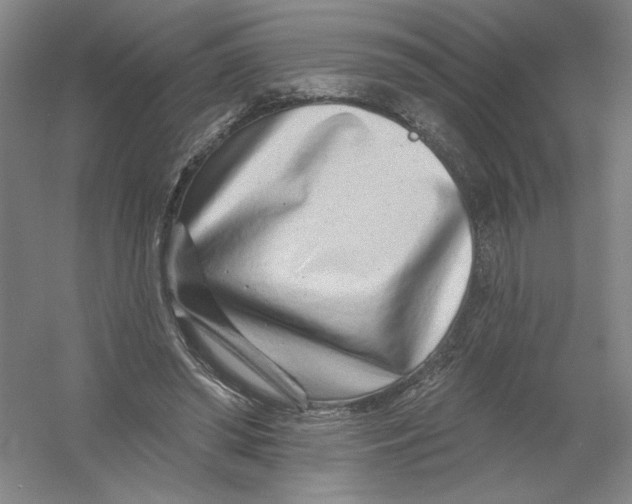 X0000054380398200508270013