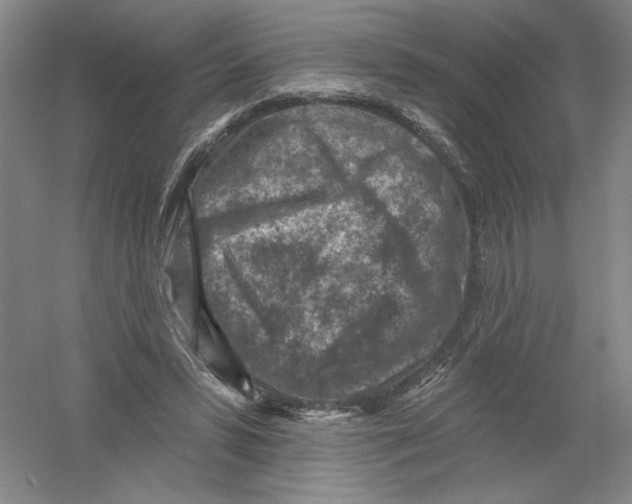 X0000054380399200508270013