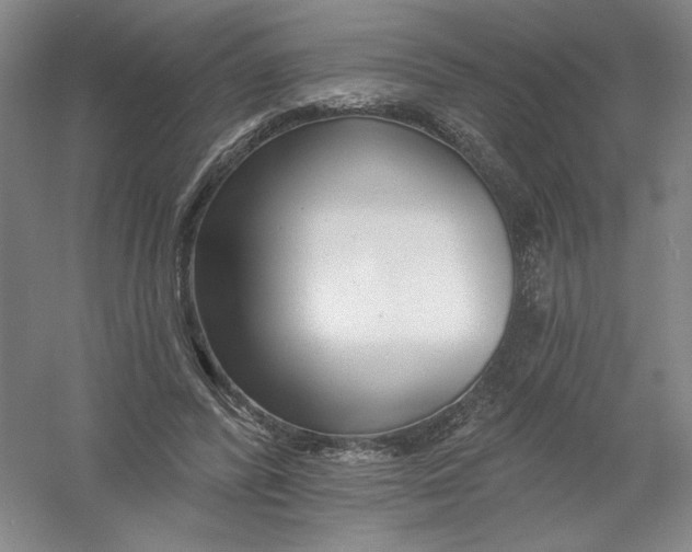 X0000054380400200508270013