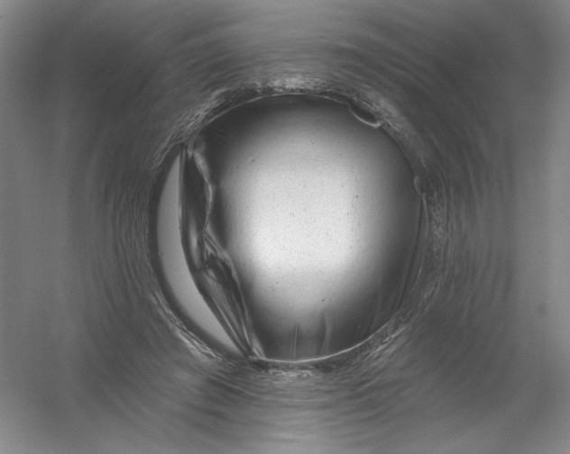 X0000054380401200508270013