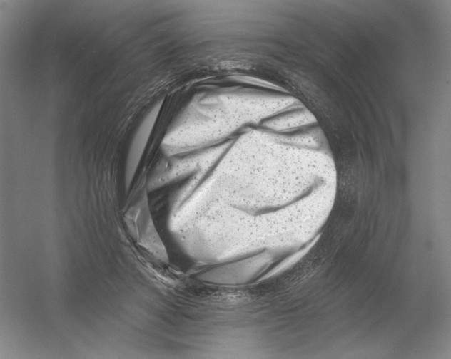 X0000054380402200508270013