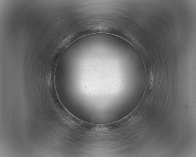 X0000054380403200508270013