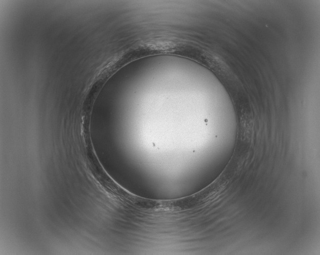 X0000054380404200508270013