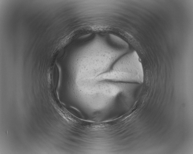 X0000054380405200508270013