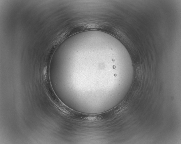 X0000054380406200508270013