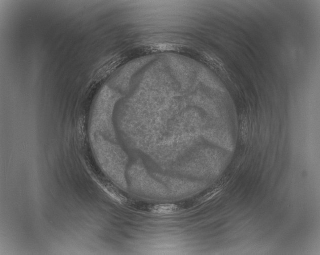 X0000054380410200508270013