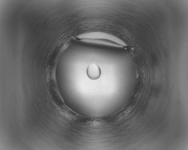 X0000054380412200508270013