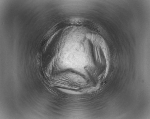 X0000054380413200508270013