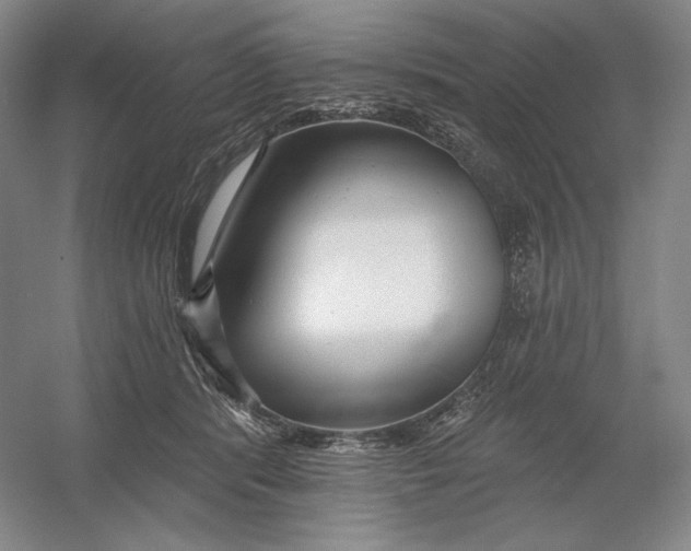 X0000054380416200508270012