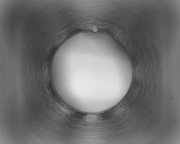 X0000054380418200508270012