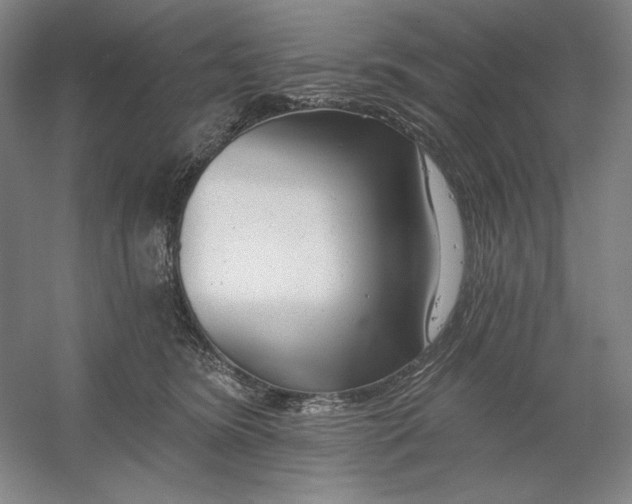 X0000054380420200508270012