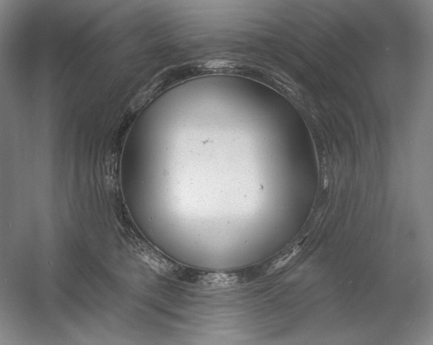 X0000054380421200508270012