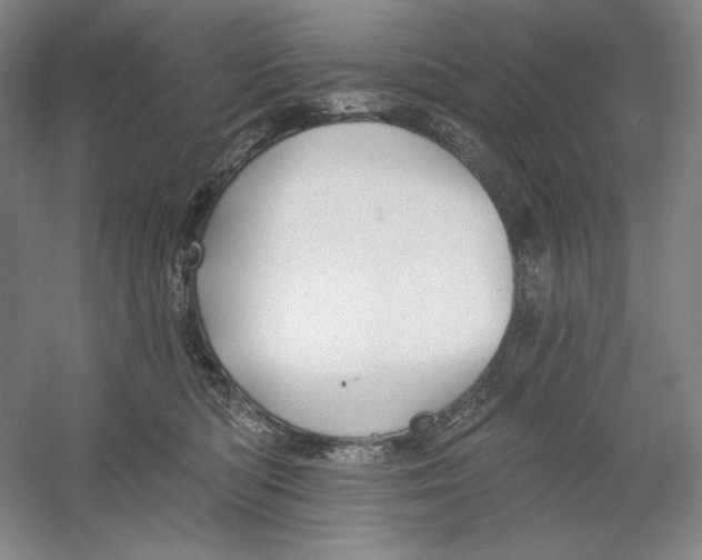 X0000054380422200508270012