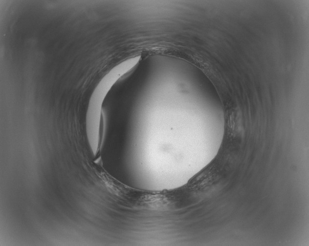 X0000054380424200508270012