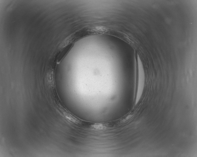 X0000054380425200508270012