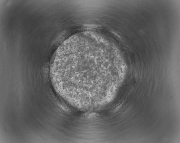 X0000054380427200508270012