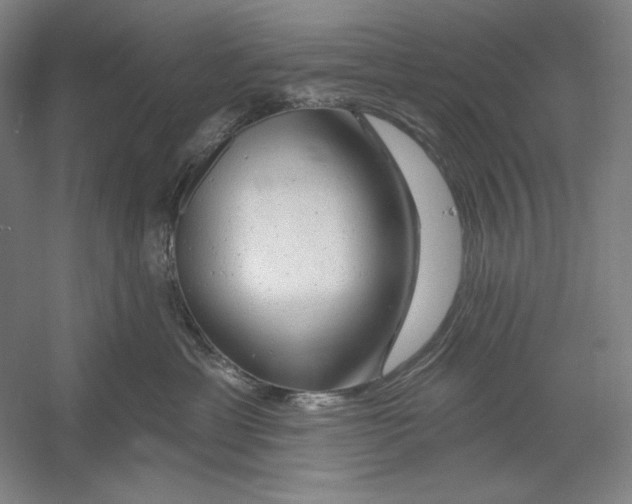 X0000054380429200508270012