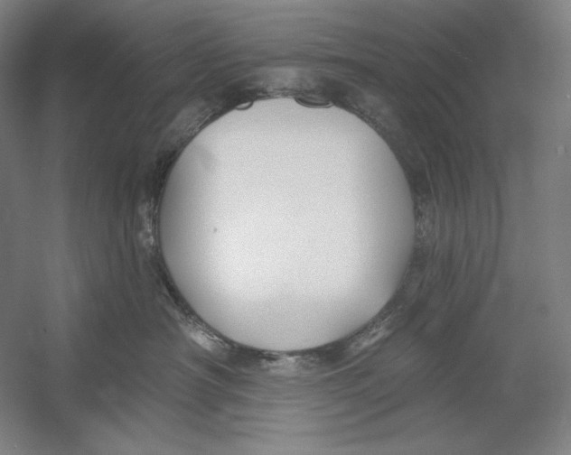 X0000054380430200508270012