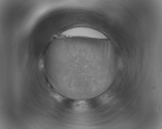 X0000054380431200508270012