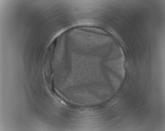 X0000054380434200508270011