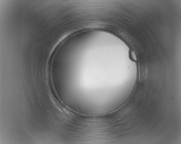 X0000054380435200508270011