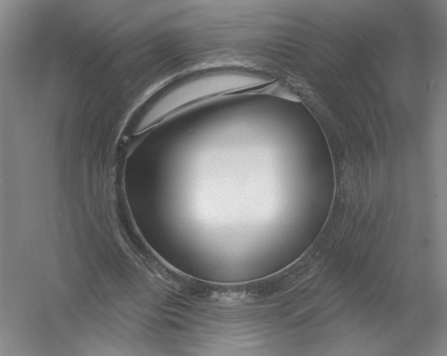 X0000054380440200508270011