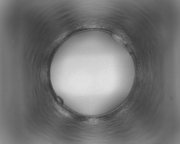 X0000054380441200508270012