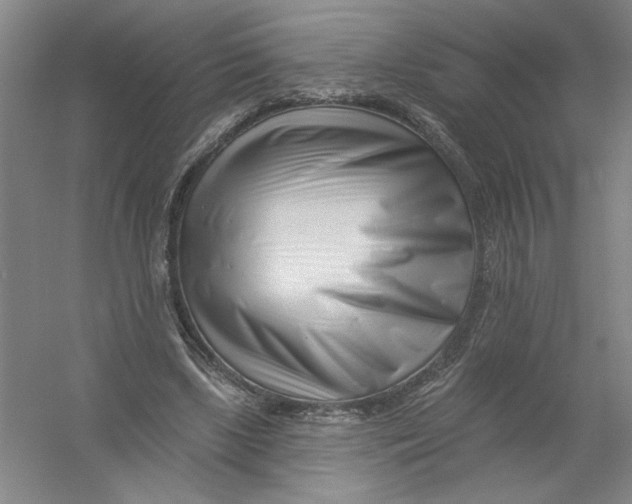 X0000054380443200508270012