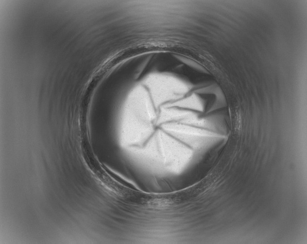 X0000054380444200508270012