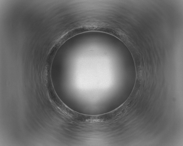 X0000054380448200508270012