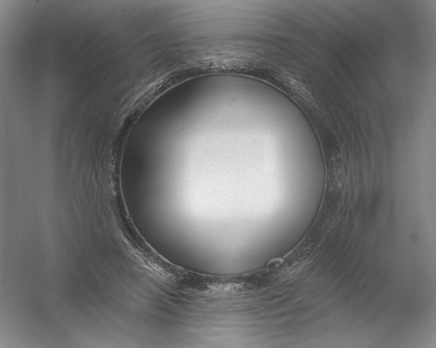 X0000054380450200508270012