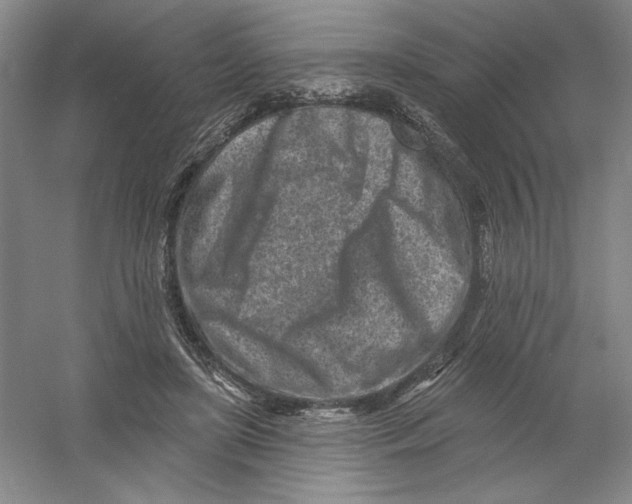 X0000054380451200508270012