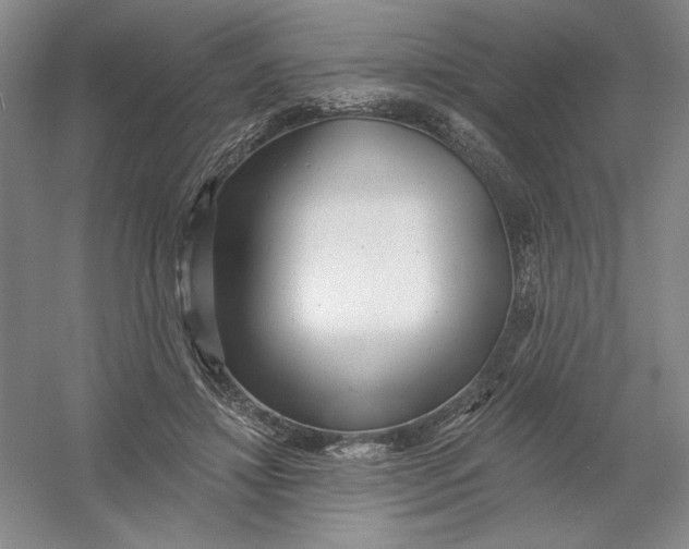 X0000054380452200508270012