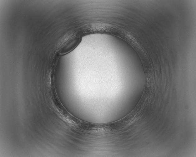 X0000054380454200508270012