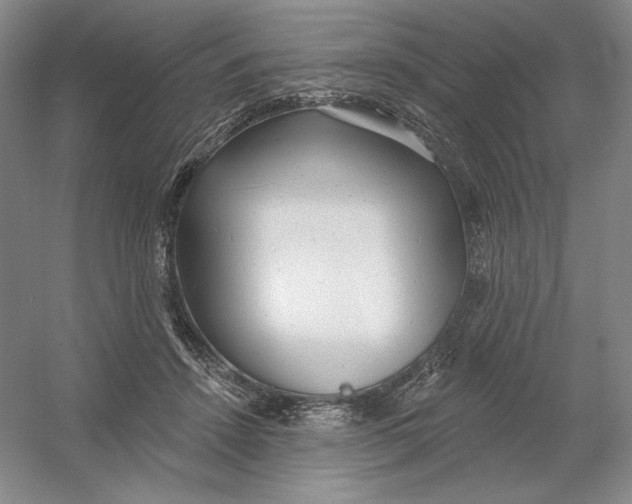 X0000054380456200508270012