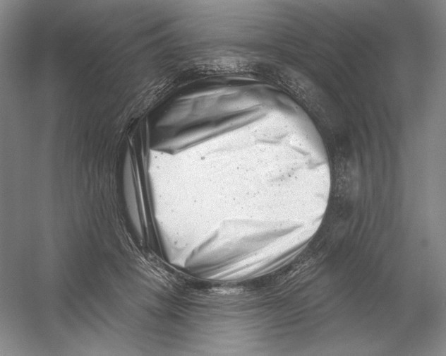 X0000054380457200508270012