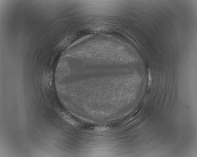 X0000054380458200508270012