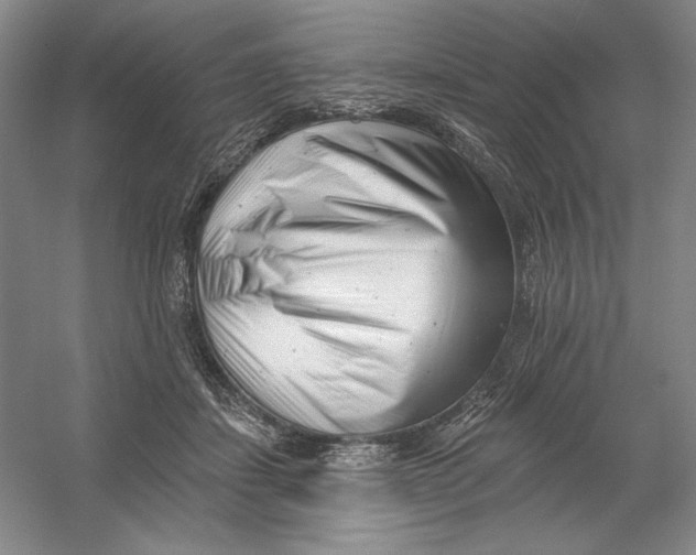 X0000054380459200508270012