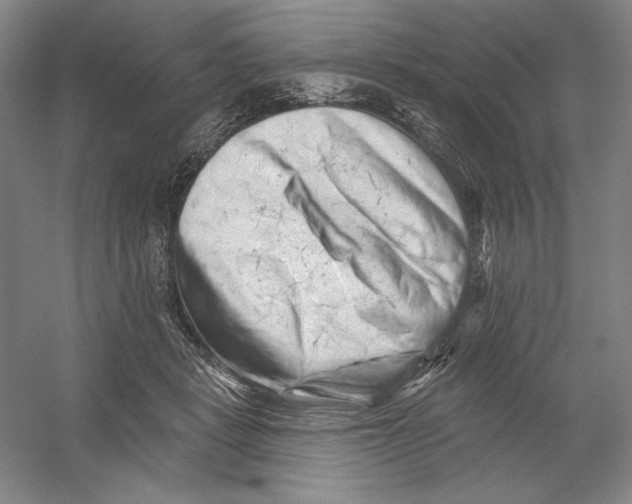 X0000054380461200508270012