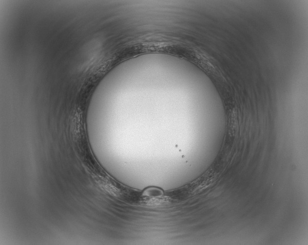 X0000054380463200508270012