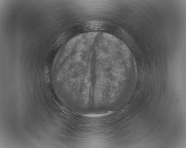 X0000054380465200508270012