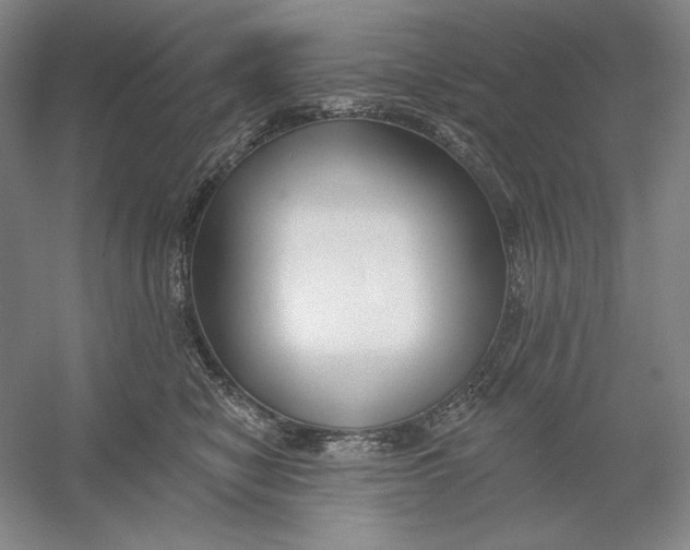 X0000054380470200508270012