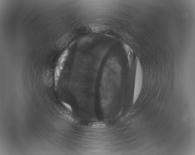 X0000054380471200508270012