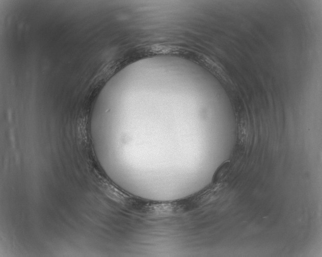 X0000054380473200508270012