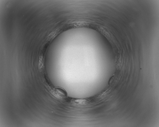 X0000054380478200508270012