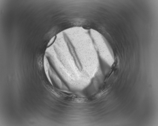 X0000054380479200508270012