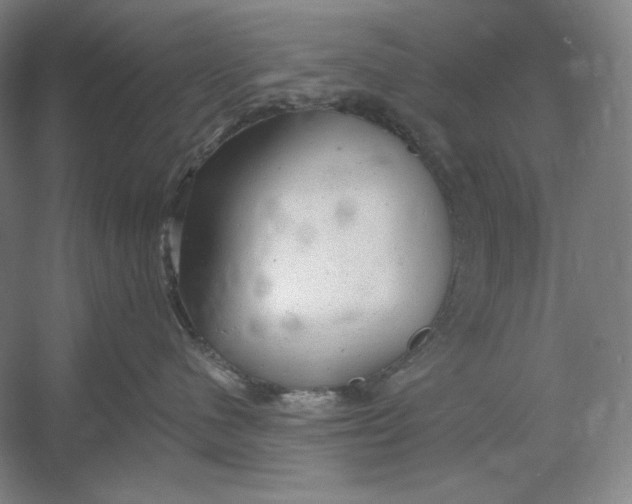 X0000054380480200508270012