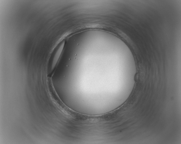 X0000054380482200508270011