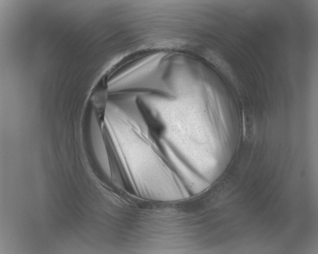 X0000054380483200508270011